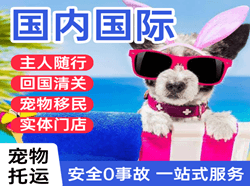 上海浦东航空运输国际宠物托运 【国