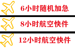 上海浦东航空运输快递公司,专业空运当天件